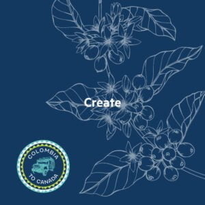 birr agency - design process for Muisca: create
