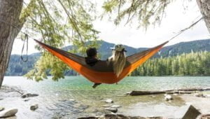 Digital nomads in a hammock - birr agency